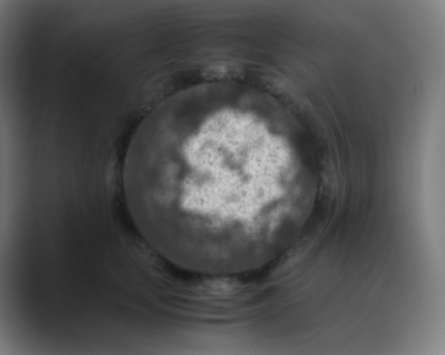 X0000088460659200706191330