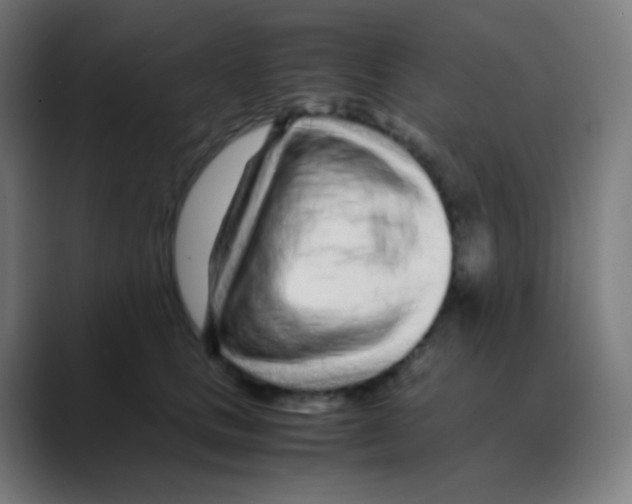 X0000088460661200706191330
