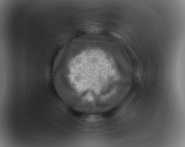 X0000088460663200706191330