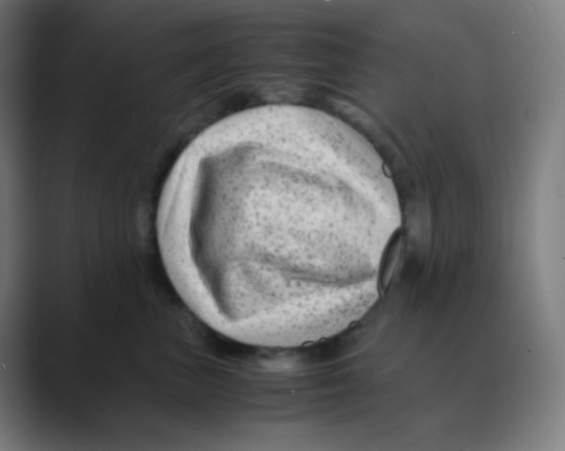X0000088460667200706191330