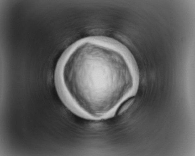 X0000088460669200706191330