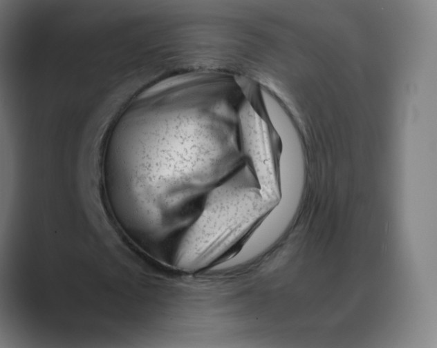X0000088460673200706191329