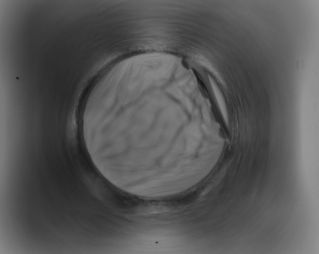 X0000088460674200706191329