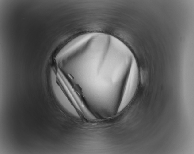 X0000088460675200706191329