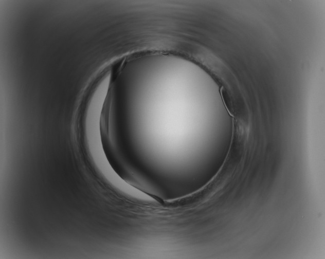 X0000088460676200706191329