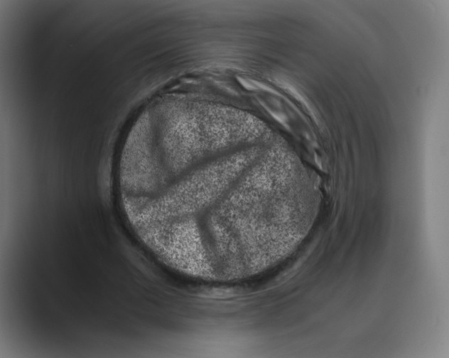 X0000088460677200706191329