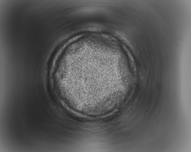 X0000088460679200706191329