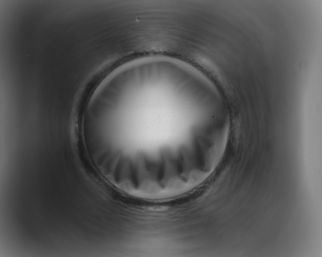 X0000088460680200706191329