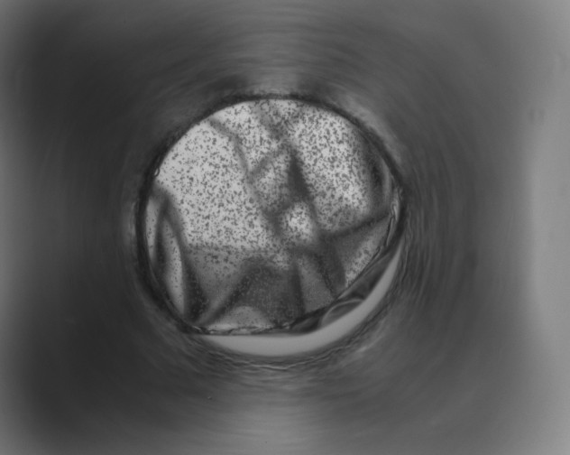 X0000088460681200706191329