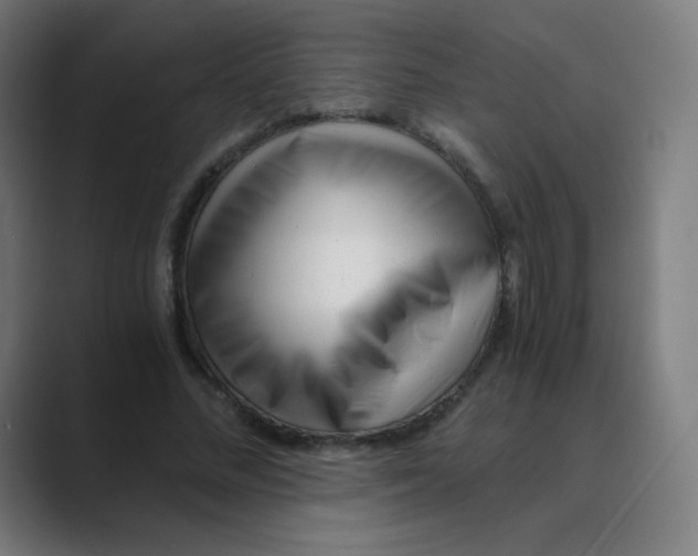 X0000088460684200706191329
