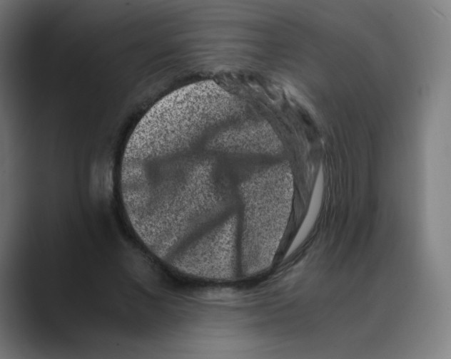 X0000088460685200706191329