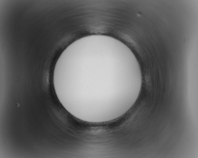 X0000088460686200706191329