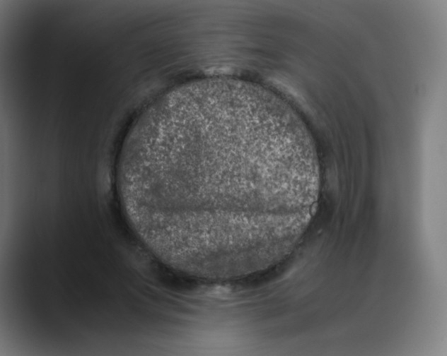 X0000088460687200706191329