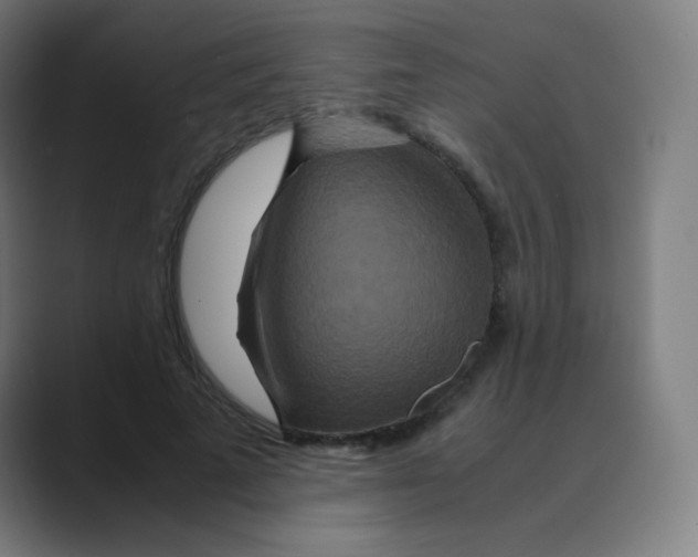 X0000088460689200706191329