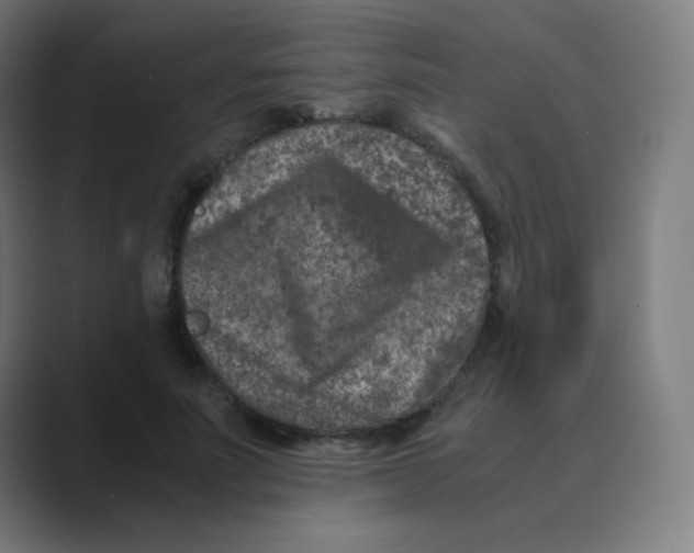 X0000088460691200706191329