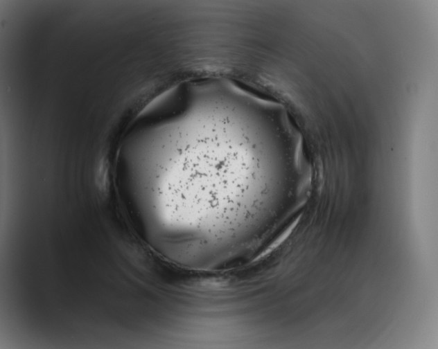 X0000088460692200706191329