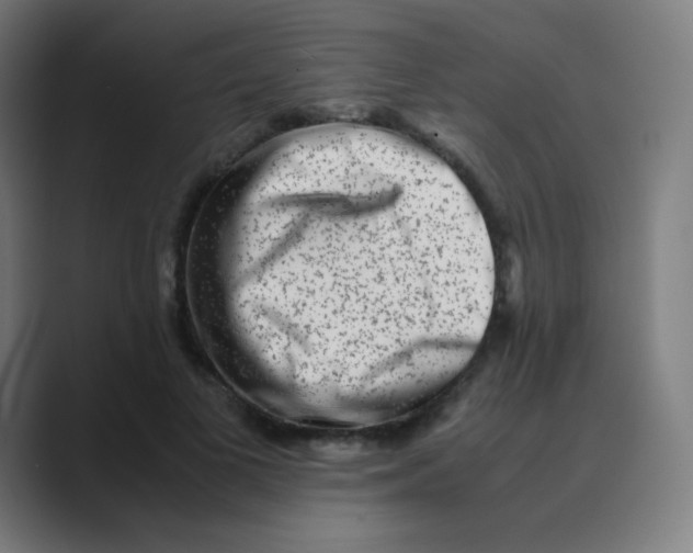X0000088460693200706191329