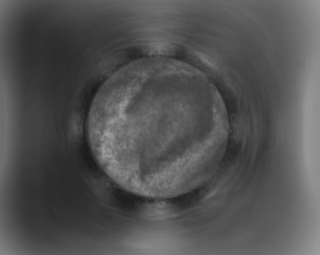 X0000088460695200706191329