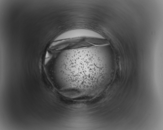 X0000088460696200706191329