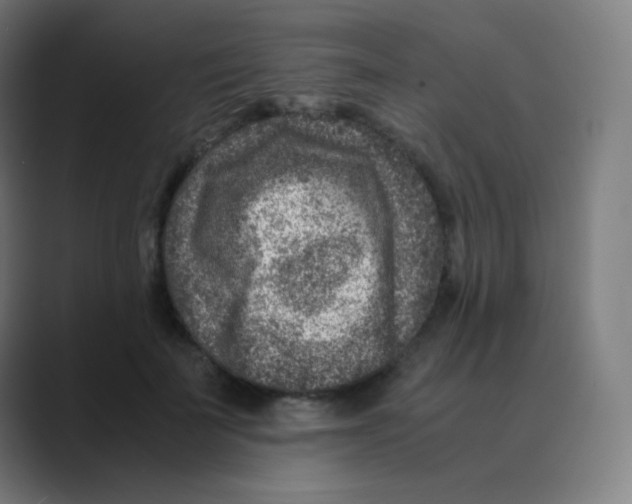 X0000088460699200706191329