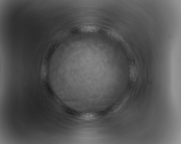 X0000088460701200706191329