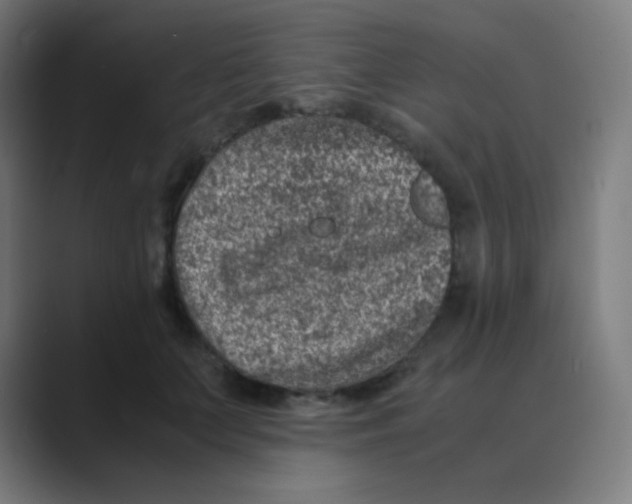 X0000088460703200706191329