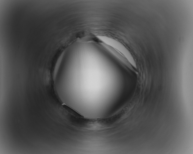 X0000088460704200706191329