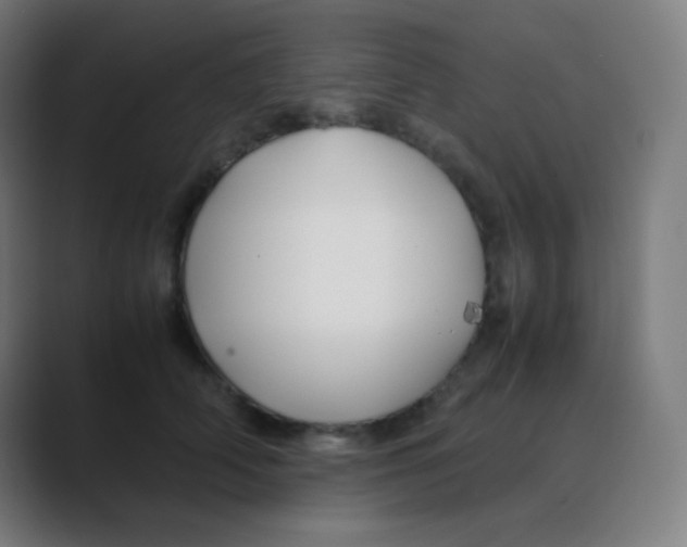 X0000088460706200706191329
