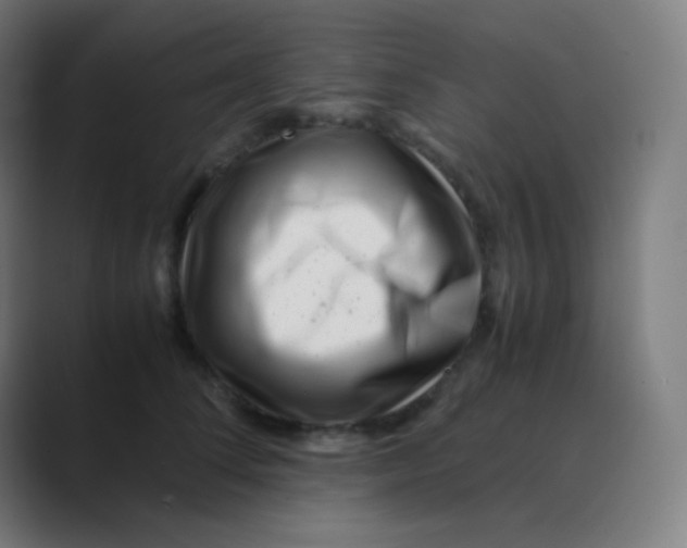 X0000088460708200706191329