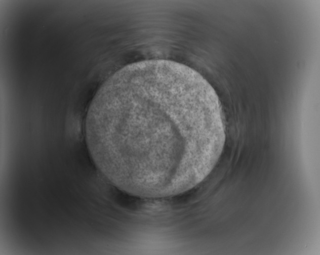 X0000088460709200706191329