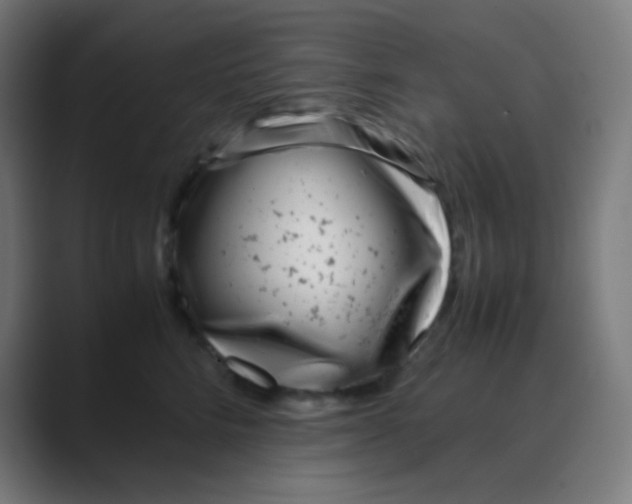 X0000088460712200706191329