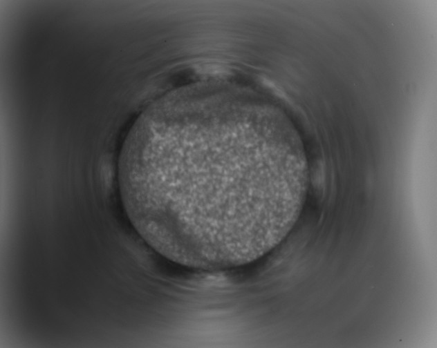 X0000088460715200706191329