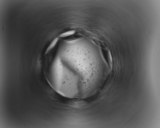 X0000088460716200706191329