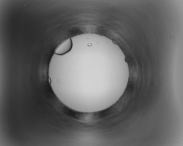 X0000088460717200706191329