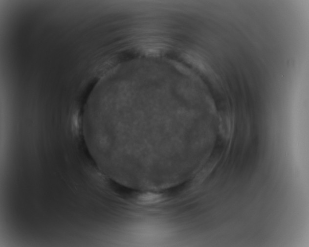 X0000088460718200706191329