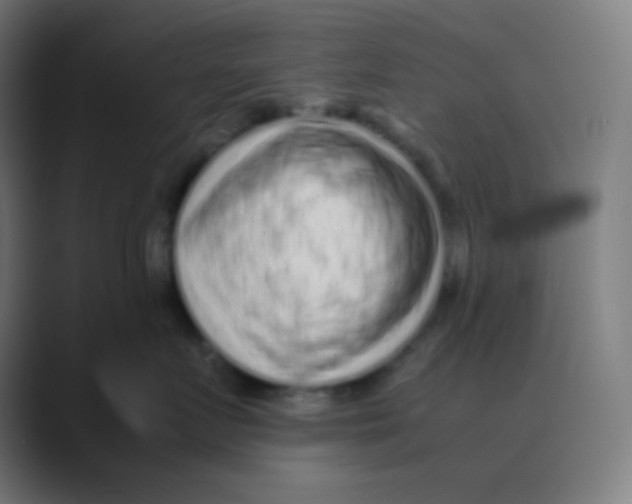 X0000088460719200706191329