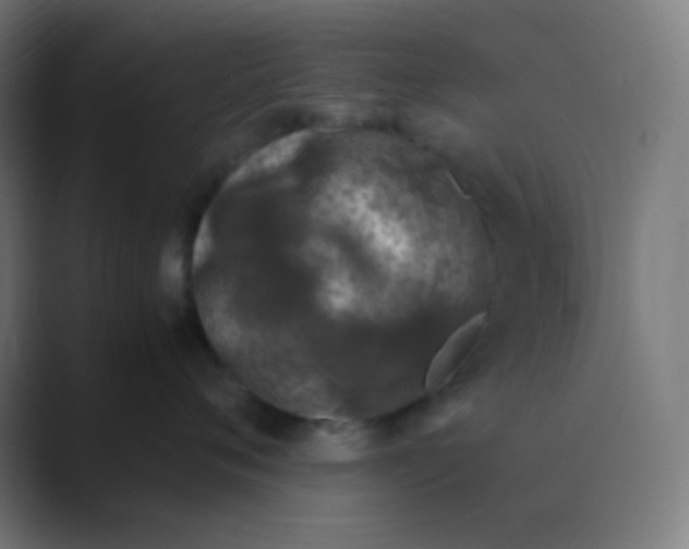 X0000088460720200706191329