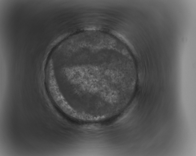 X0000088460721200706191328