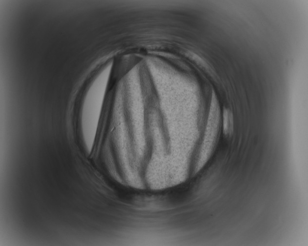 X0000088460723200706191328