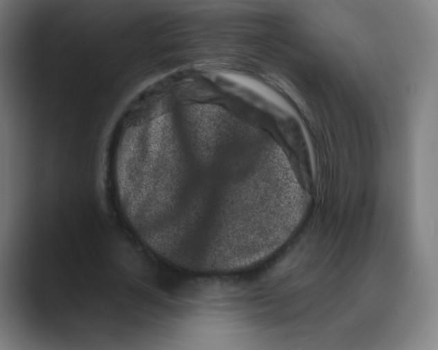 X0000088460724200706191328