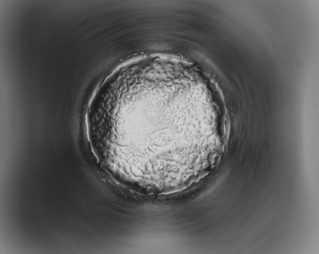 X0000088460725200706191328
