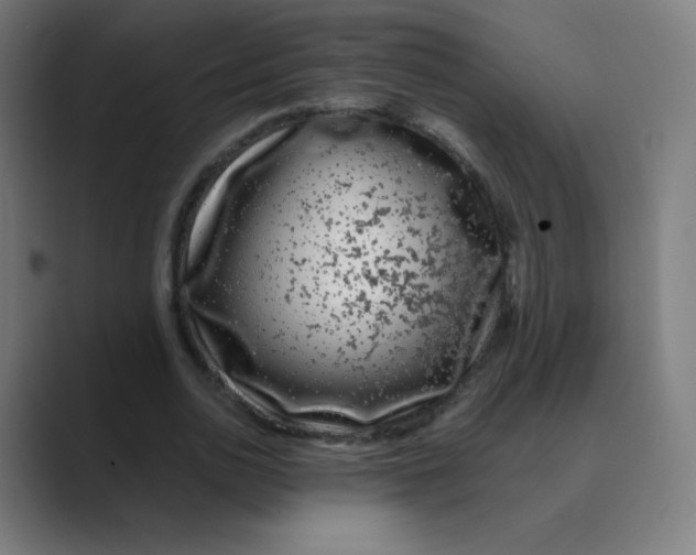 X0000088460726200706191328
