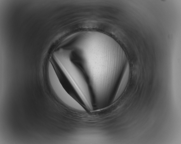 X0000088460727200706191328