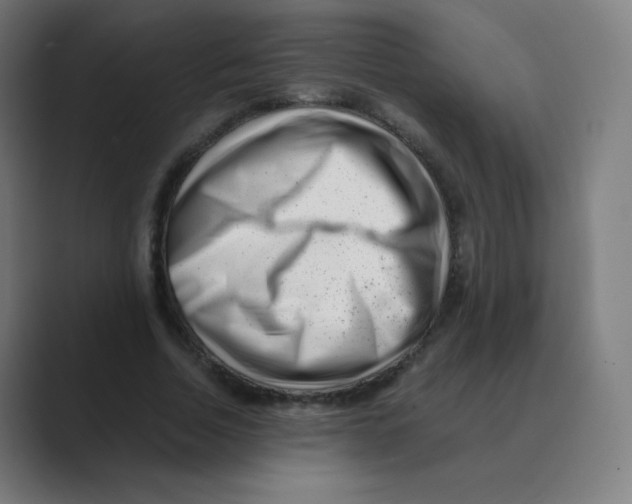 X0000088460730200706191328