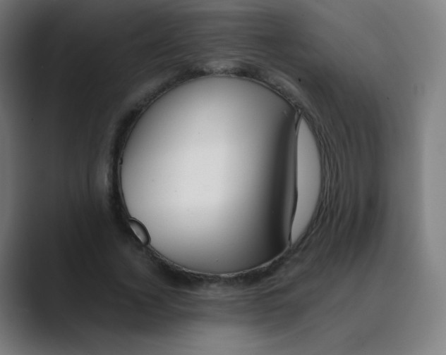 X0000088460732200706191328