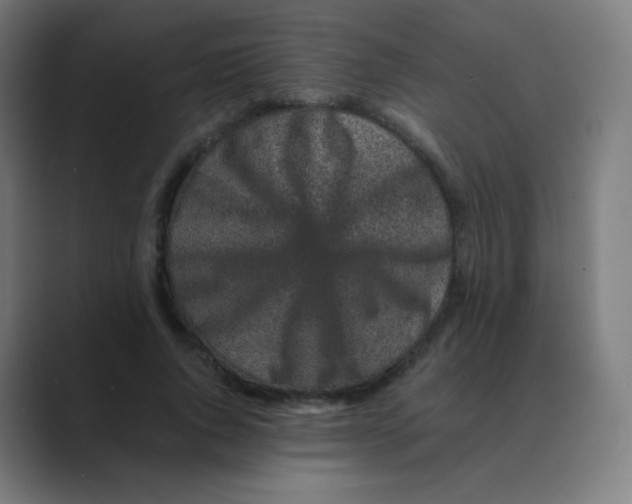 X0000088460736200706191329