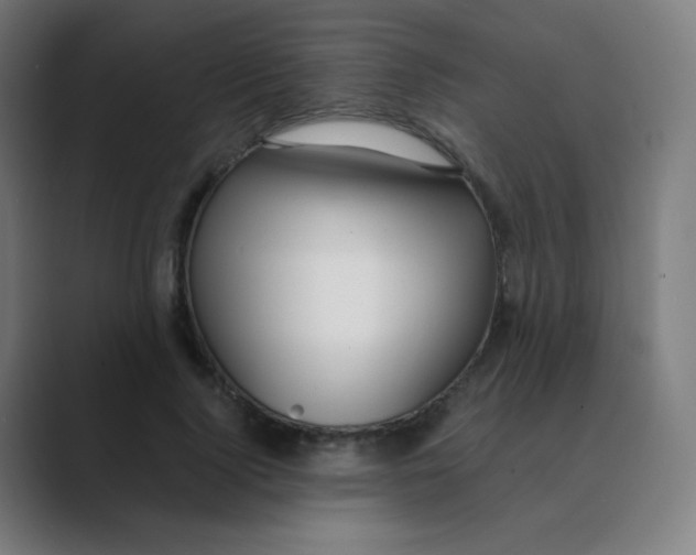 X0000088460740200706191329