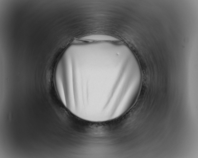 X0000088460742200706191329