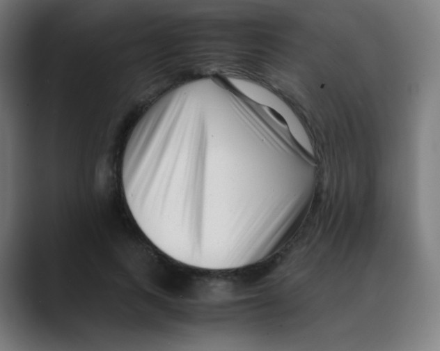 X0000088460743200706191329