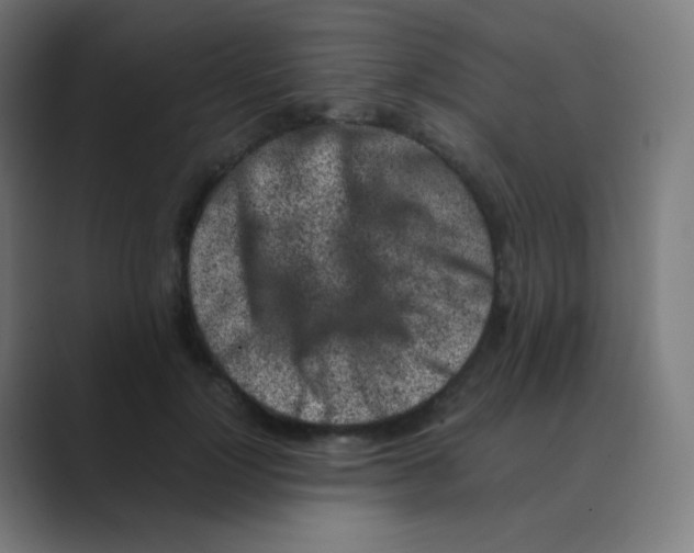 X0000088460748200706191329